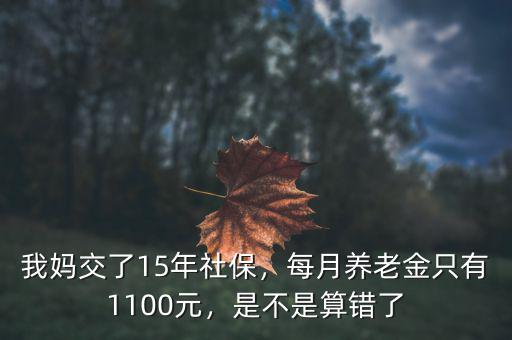 我媽交了15年社保，每月養(yǎng)老金只有1100元，是不是算錯(cuò)了