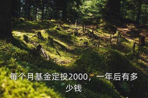 每個(gè)月基金定投2000，一年后有多少錢(qián)