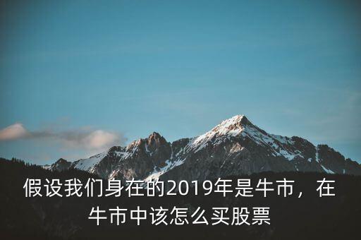 假設(shè)我們身在的2019年是牛市，在牛市中該怎么買股票