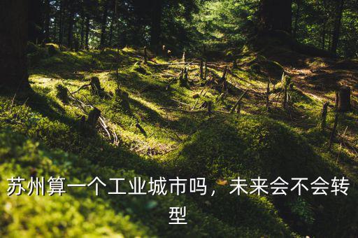 蘇州算一個(gè)工業(yè)城市嗎，未來會(huì)不會(huì)轉(zhuǎn)型