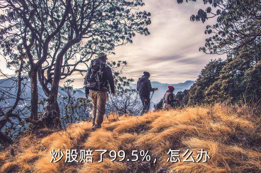 炒股賠了99.5%，怎么辦