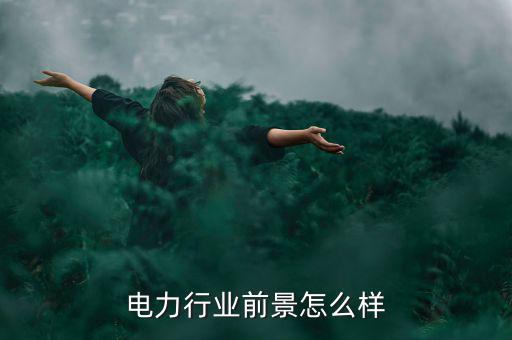 電力行業(yè)前景怎么樣