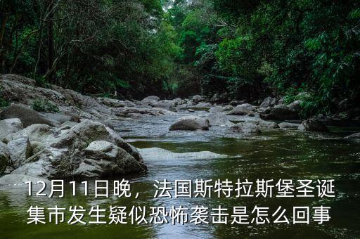 12月11日晚，法國斯特拉斯堡圣誕集市發(fā)生疑似恐怖襲擊是怎么回事