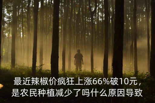 最近辣椒價(jià)瘋狂上漲66%破10元，是農(nóng)民種植減少了嗎什么原因?qū)е? class=