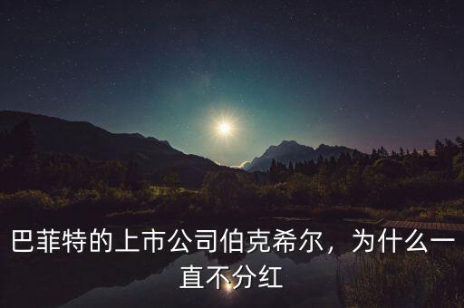 巴菲特的上市公司伯克希爾，為什么一直不分紅