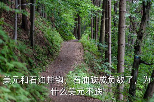 美元和石油掛鉤，石油跌成負(fù)數(shù)了，為什么美元不跌