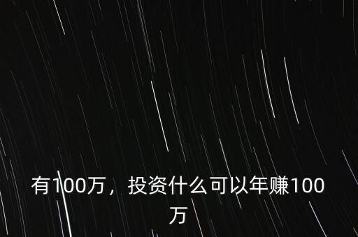 100萬(wàn)投資什么好2016年,投資什么可以年賺100萬(wàn)