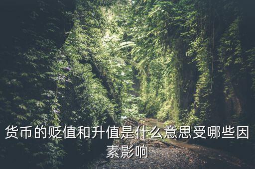 貨幣的貶值和升值是什么意思受哪些因素影響