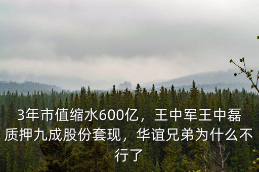 3年市值縮水600億，王中軍王中磊質(zhì)押九成股份套現(xiàn)，華誼兄弟為什么不行了