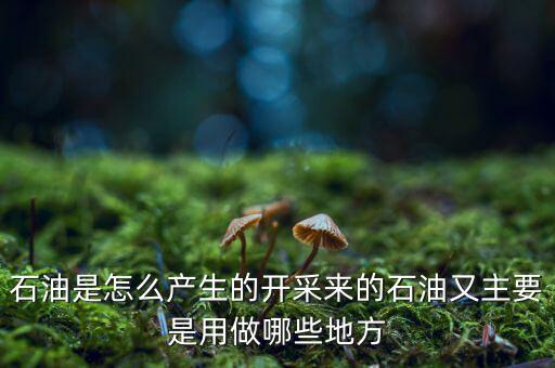 石油是怎么產(chǎn)生的開采來的石油又主要是用做哪些地方