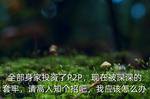 全部身家投資了P2P，現(xiàn)在被深深的套牢，請高人知個招吧，我應該怎么辦