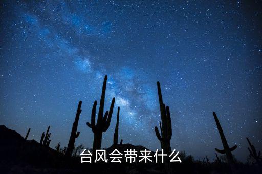 臺風(fēng)來了什么股票會漲,股票的價格是由什么來決定的