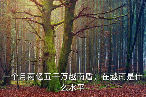 一個(gè)月兩億五千萬(wàn)越南盾，在越南是什么水平