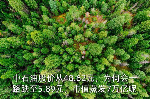 中石油為什么跌,中石油股價從48.62元