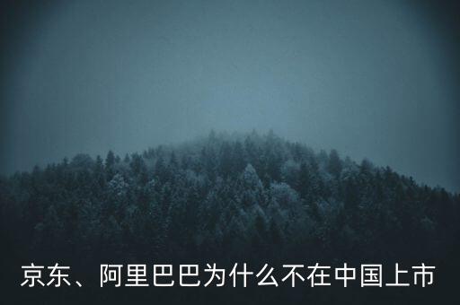 京東、阿里巴巴為什么不在中國上市