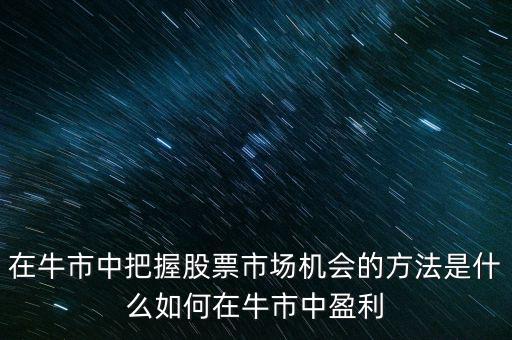 牛市什么股最賺錢,過(guò)去20年買什么股票最賺錢