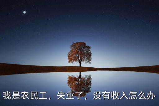 我是農(nóng)民工，失業(yè)了，沒有收入怎么辦