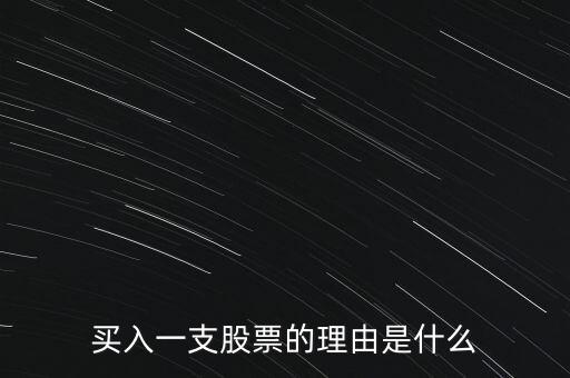 買入一支股票的理由是什么