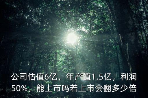 公司估值6億，年產(chǎn)值1.5億，利潤50%，能上市嗎若上市會(huì)翻多少倍