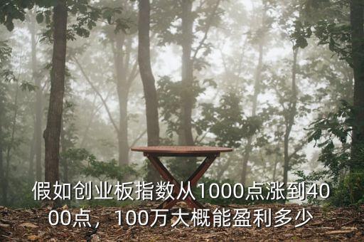 假如創(chuàng)業(yè)板指數(shù)從1000點漲到4000點，100萬大概能盈利多少