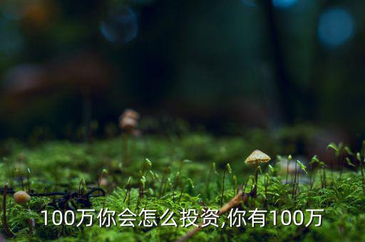 你有100萬你會(huì)怎么投資,你有100萬