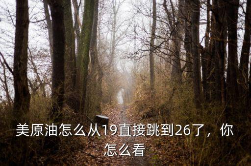 美原油怎么從19直接跳到26了，你怎么看