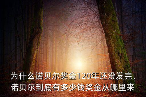 為什么諾貝爾獎(jiǎng)金120年還沒(méi)發(fā)完，諾貝爾到底有多少錢(qián)獎(jiǎng)金從哪里來(lái)