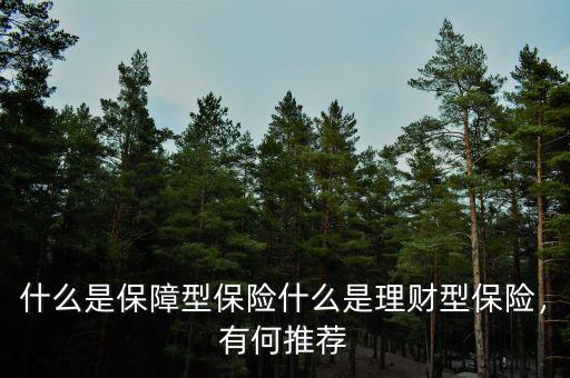 什么是保障型保險什么是理財型保險，有何推薦