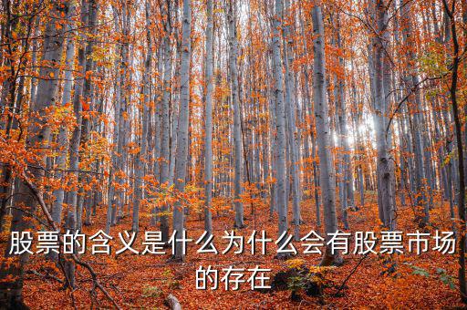 股票為什么會(huì),為什么會(huì)有股票市場(chǎng)的存在