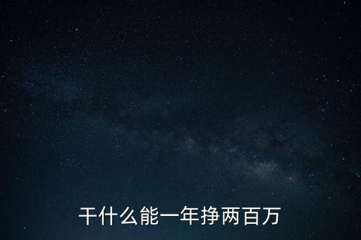 干什么能一年掙兩百萬(wàn)