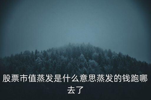 股票市值蒸發(fā)是什么意思蒸發(fā)的錢跑哪去了