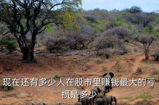 現(xiàn)在還有多少人在股市里賺錢最大的虧損是多少