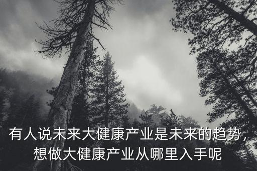 有人說未來大健康產業(yè)是未來的趨勢，想做大健康產業(yè)從哪里入手呢