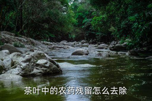 茶葉中的農(nóng)藥殘留怎么去除