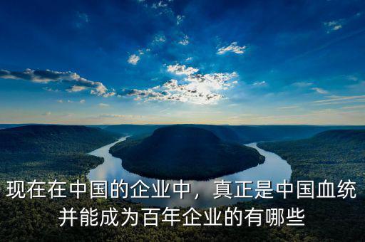 現(xiàn)在在中國的企業(yè)中，真正是中國血統(tǒng)并能成為百年企業(yè)的有哪些