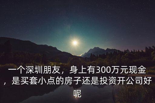 一個深圳朋友，身上有300萬元現(xiàn)金，是買套小點的房子還是投資開公司好呢