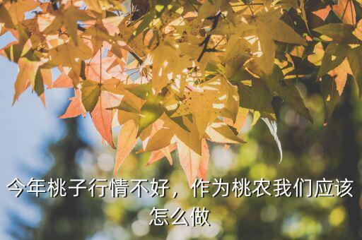 今年桃子行情不好，作為桃農(nóng)我們應(yīng)該怎么做