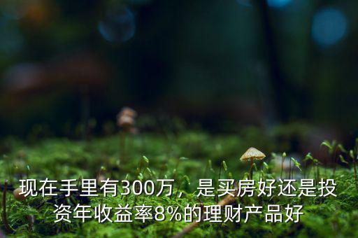 300萬投資怎么算回報,300萬集中投資黃金