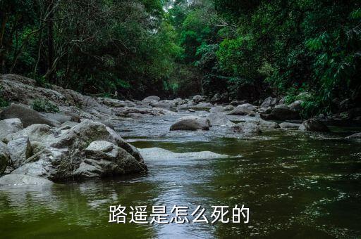 路遙是怎么死的