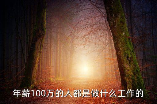 做什么才能年薪100萬,什么行業(yè)一年可掙到100萬