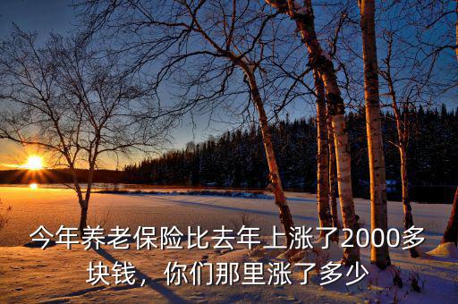 今年養(yǎng)老保險(xiǎn)比去年上漲了2000多塊錢，你們那里漲了多少