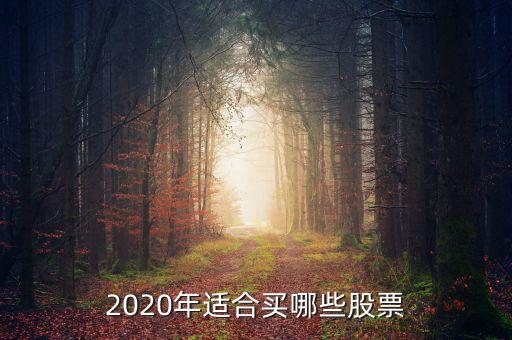 2020年適合買(mǎi)哪些股票