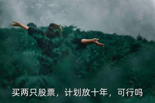 買兩只股票，計劃放十年，可行嗎