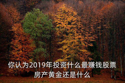 你認(rèn)為2019年投資什么最賺錢(qián)股票房產(chǎn)黃金還是什么