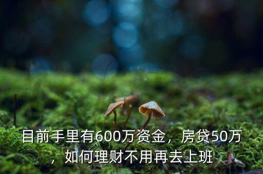 目前手里有600萬(wàn)資金，房貸50萬(wàn)，如何理財(cái)不用再去上班