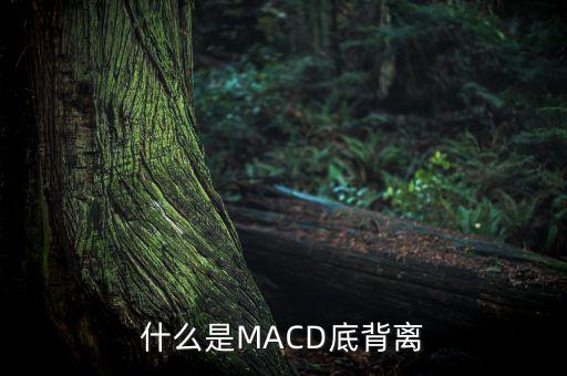 什么是MACD底背離