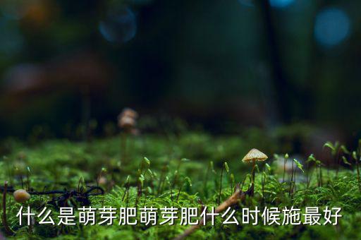 萌芽對什么,萌芽肥什么時(shí)候施最好