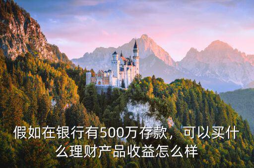 存款500萬怎么理財,500萬現(xiàn)金流