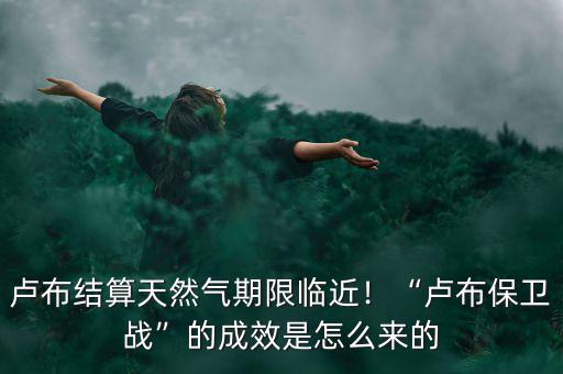 盧布結(jié)算天然氣期限臨近！“盧布保衛(wèi)戰(zhàn)”的成效是怎么來的