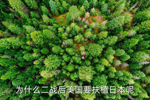 為什么二戰(zhàn)后美國要扶植日本呢